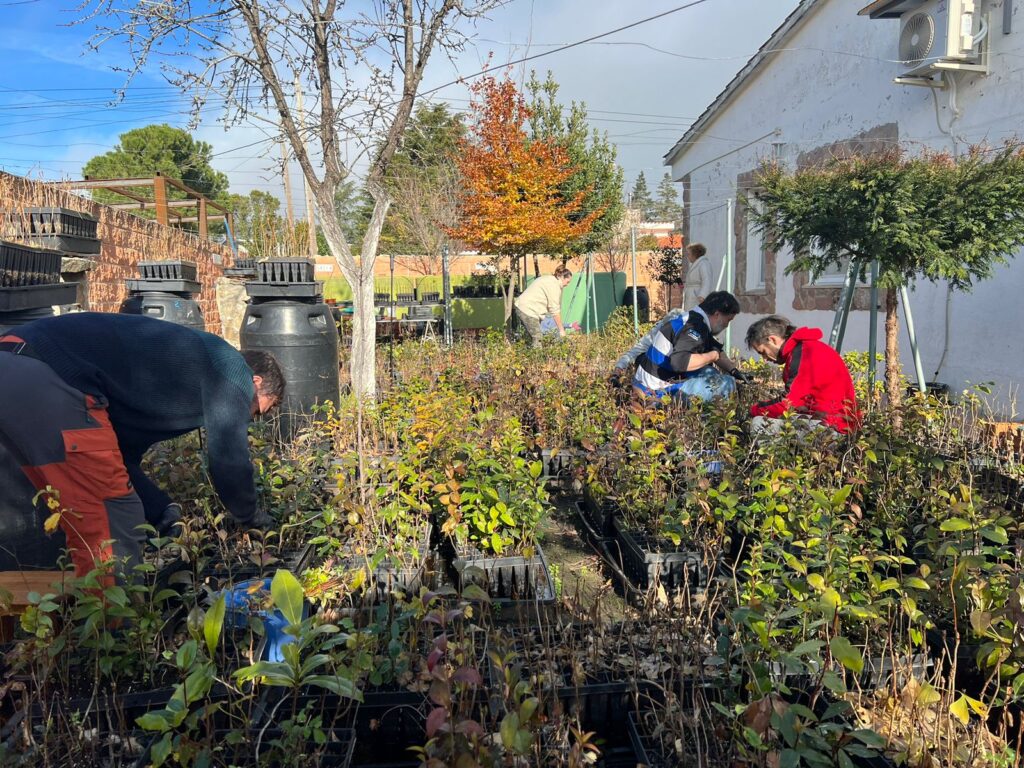 Miembros de Rivas Futura y Rivas Respira trabajando en el vivero